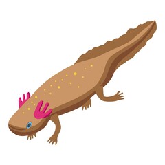 Axolotl icon. Isometric of axolotl vector icon for web design isolated on white background