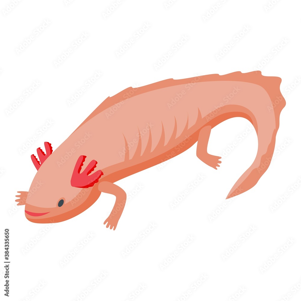 Poster axolotl lizard icon. isometric of axolotl lizard vector icon for web design isolated on white backgr