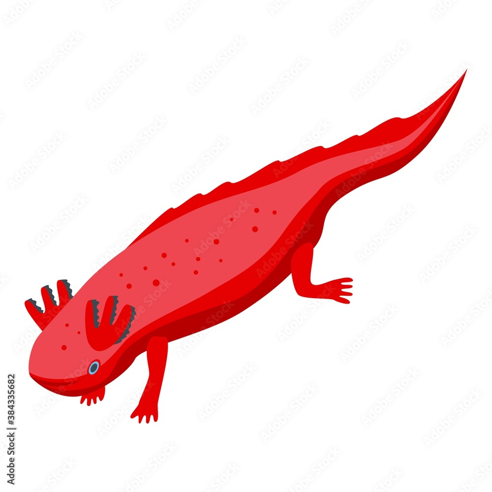 Aufkleber axolotl species icon. isometric of axolotl species vector icon for web design isolated on white back