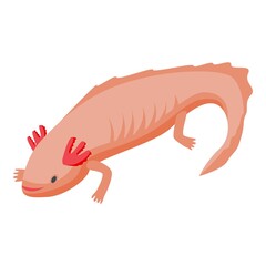Axolotl lizard icon. Isometric of axolotl lizard vector icon for web design isolated on white background