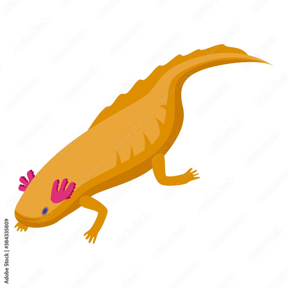 Aufkleber axolotl fish icon. isometric of axolotl fish vector icon for web design isolated on white background