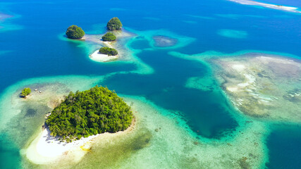 Aerial view of sandy beach on a tropical island with palm trees. Britania Islands, Surigao del Sur, Philippines.