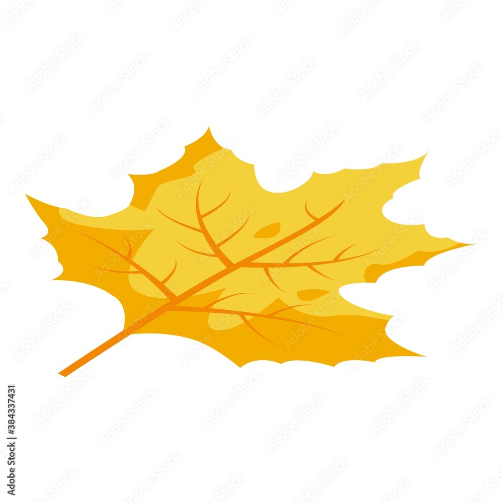 Poster forest autumn leaf icon. isometric of forest autumn leaf vector icon for web design isolated on whit
