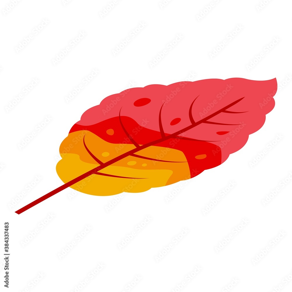 Poster tree autumn leaf icon. isometric of tree autumn leaf vector icon for web design isolated on white ba