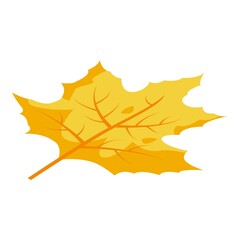 Forest autumn leaf icon. Isometric of forest autumn leaf vector icon for web design isolated on white background