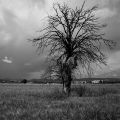 
night photography and dark photography