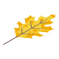 Yellow autumn leaf icon. Isometric of yellow autumn leaf vector icon for web design isolated on white background
