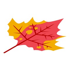 Autumn foliage icon. Isometric of autumn foliage vector icon for web design isolated on white background
