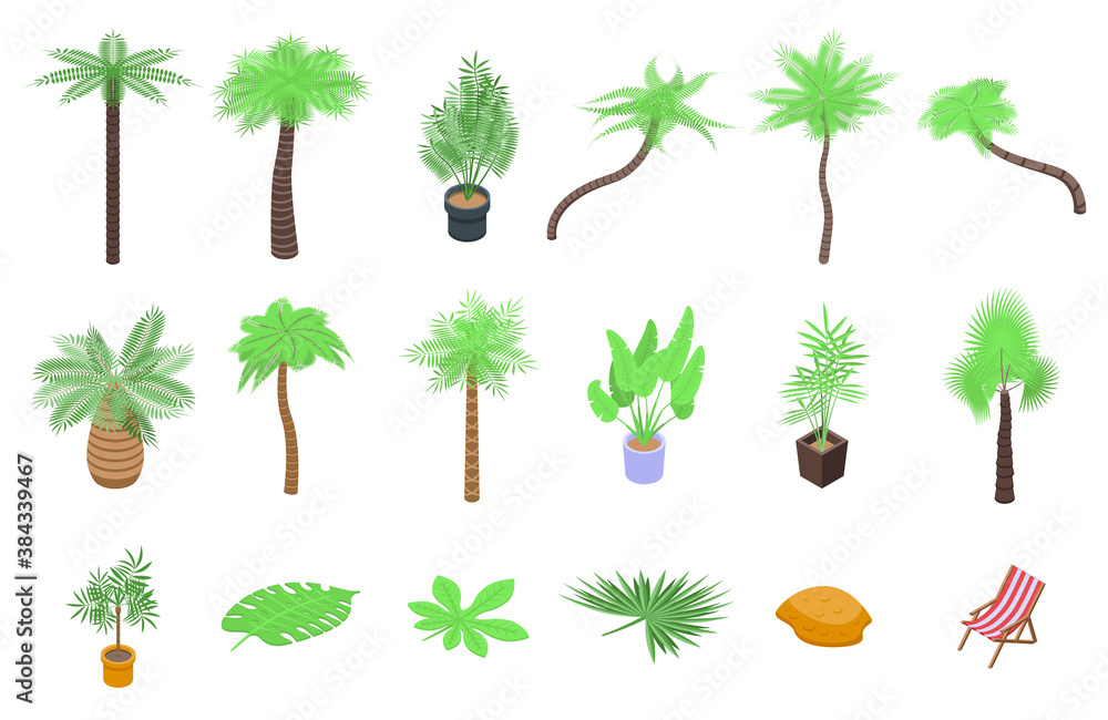 Poster palm tree icons set. isometric set of palm tree vector icons for web design isolated on white backgr