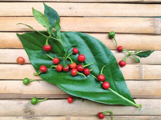 Cherry Bomb Pepper: A Firecracker Of A Chili.