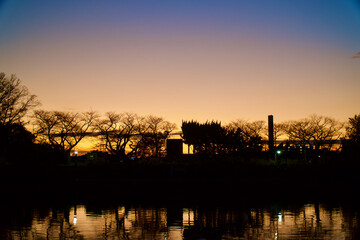 Naklejka premium 冬の水元公園