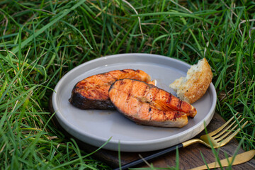 grilled salmon on the grass