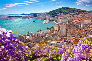 Split waterfront and Marjan hill colorful flower view
