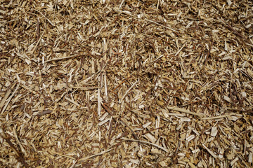 Sawdust or organic fuel for greenhouse. Wood shavings mount.