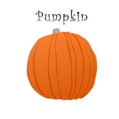 Vector illustration. Halloween Pumpkin. Big pumpkin with a small ponytail on a white background with the inscription.