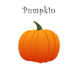 Small pumpkin  on a white background with the inscription. Vector illustration. Halloween Pumpkin.