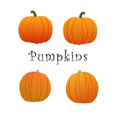 Illustration. Halloween Pumpkin. A set of pumpkins for Halloween. Two small and two large pumpkins. With signature. On a white background.