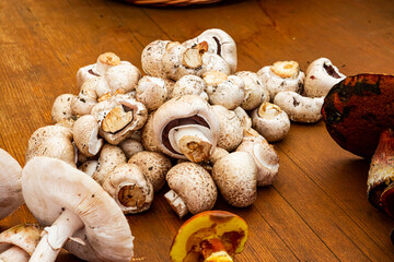 Dehydrate and Dry Mushrooms. some several fresh mushroom collected from the garden.