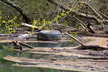 A cesspool of garbage in a creek