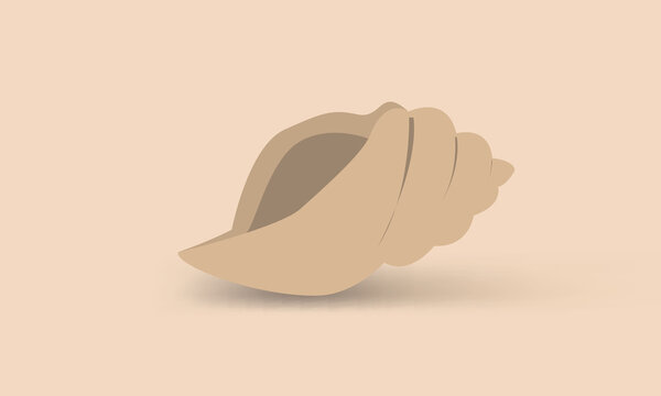 conus sea snail shell isolated vector design illustration 