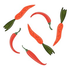 Collection of carrots and chili peppers on white background.
Vector isolated illustration.