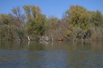 Холодная река