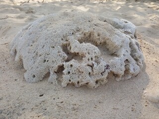 stones on the sand