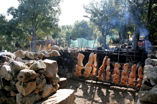 Old traditional Sardinian food. Piglets roast cooking in the BBQ in a typical Sardinian mountain village