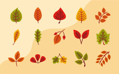 bundle of fifteen autumn leaves flat style icons