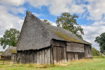 Fototapeta na wymiar Old barn with a thatched roof in the woods of Drenthe