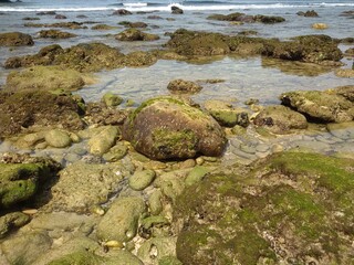 rocks and sea
