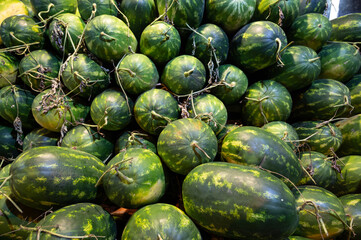 Fresh harverst of watermelons on a stall