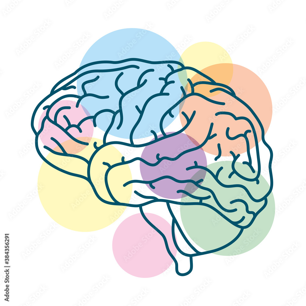 Sticker brain human with colors spheres mental health care icon