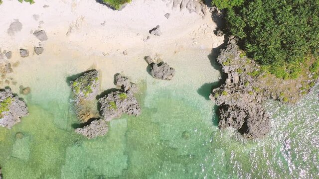 Tropical beach surrounded by the forest #1