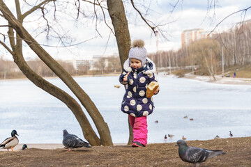 baby girl feeding the wild prince with bread in winter