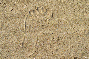 footprint in the sand