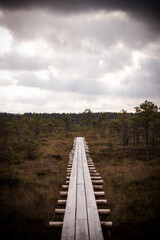 Fototapeta premium End of the road