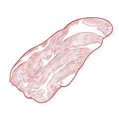 Hand drawn sketch of beef detailed food illustration