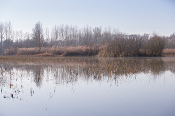 Lake in late autumn.