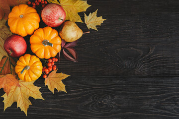 Autumn background with pumpkins, apples, pear, rowan berries and golden maple leaves.