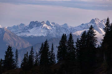 Auf dem Steinberg, ein Teil der  Nagelfluhkette
