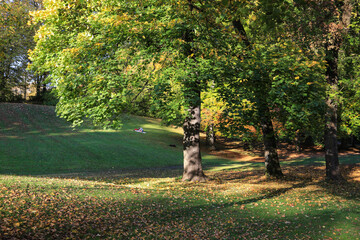 Park und Gartenanlage Maximiliansanlagen entlang der Isar in München im Herbst