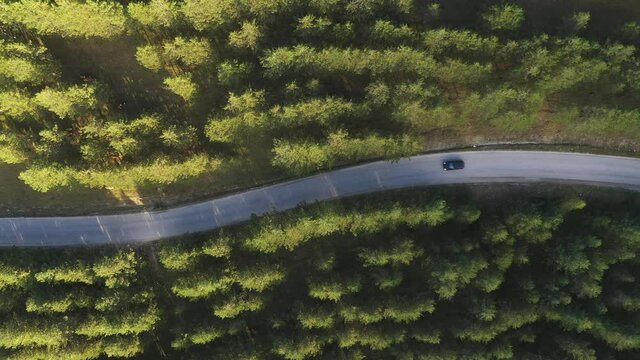 Top view of single black car driving through forest in Zlatibor, Serbia
