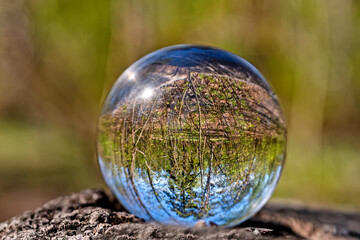 A glass ball of nature