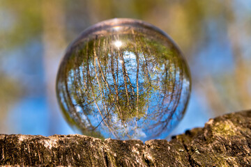 A glass ball of nature