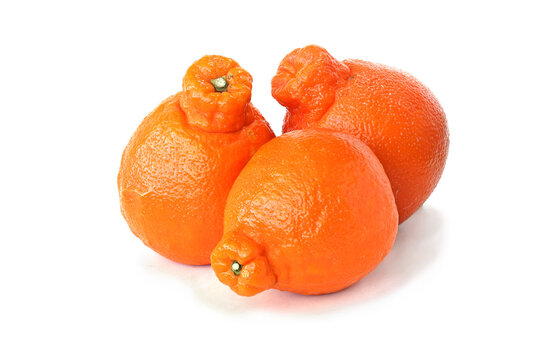 Three mineolas isolated on white