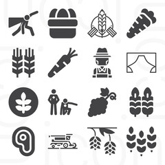 16 pack of countryside  filled web icons set