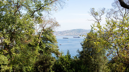 Fototapeta na wymiar Panoramic view of Istanbul and Bosphorus from Emirgan district