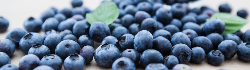  freshly blueberry fruit antioxidant food