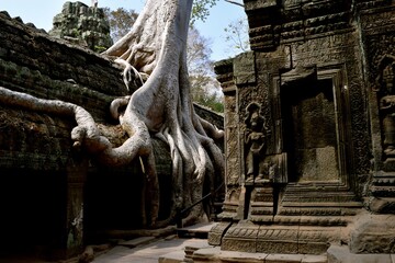 Fototapeta na wymiar Angkor Wat Temples in Siem Reap, Cambodia